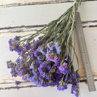 Dried / Preserved Statice