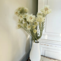 Naturally Dried Philyca Flowers - natural green beige