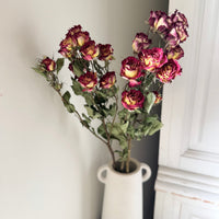 Dried Spray Mini Rose