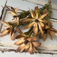 [Natural & Deep Colours] Outlet & Samples