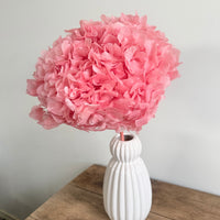 Preserved Hydrangea Stem
