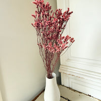 Preserved Crystal Grass / Caspea