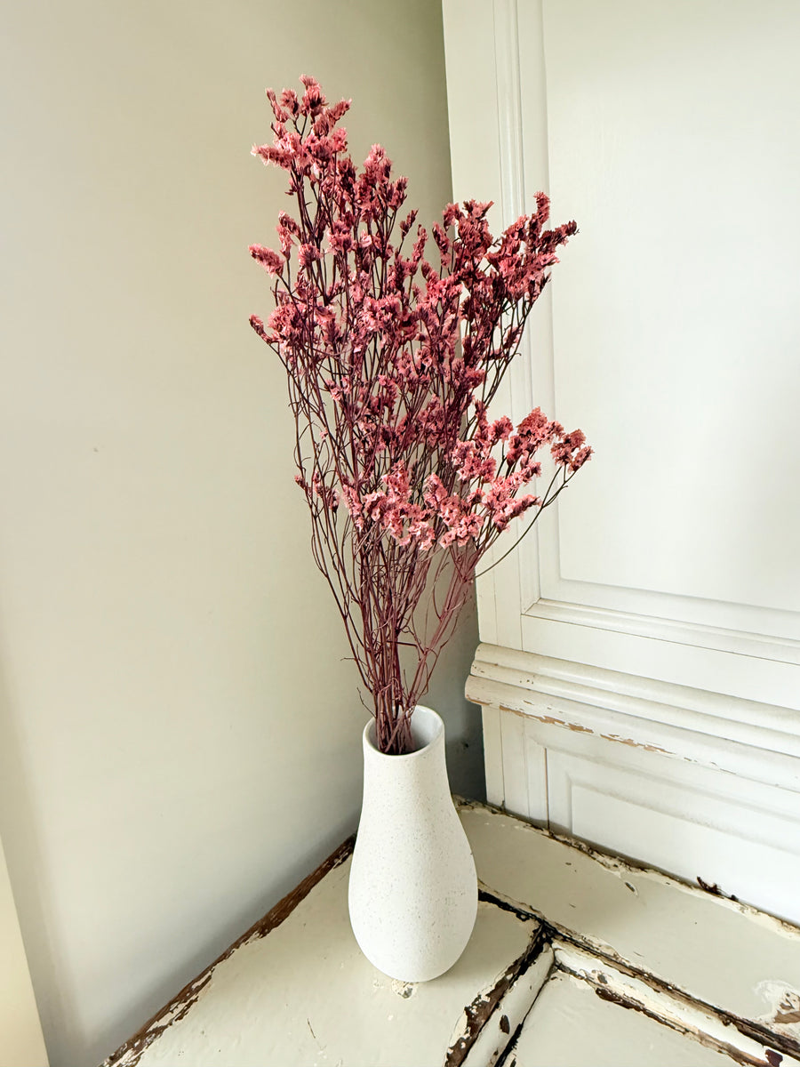 Preserved Crystal Grass / Caspea