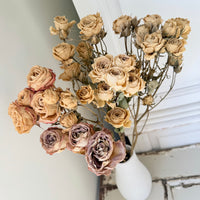 Dried Spray Mini Rose