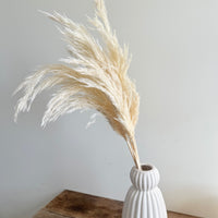 　[Colourful] Outlet & Samples