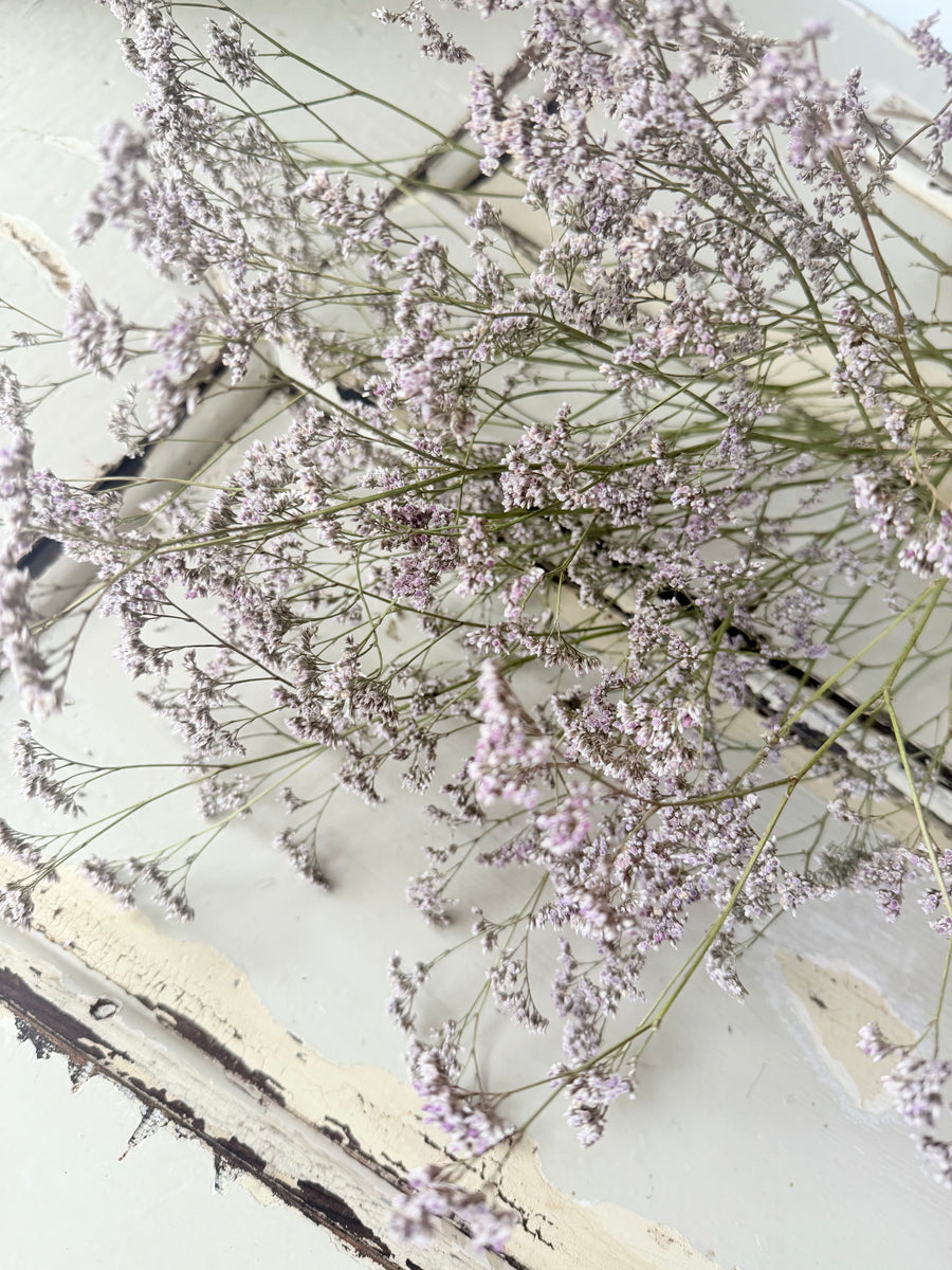 Naturally Dried  / Prserved Misty | Limonium | Sea Lavender