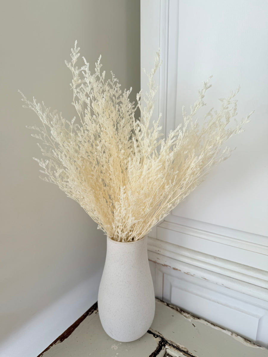 Soft / Vivid Hue Preserved Limonium | Misty | Sea Lavender