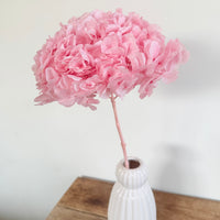 Preserved Hydrangea Stem