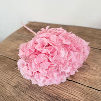 Preserved Hydrangea Stem