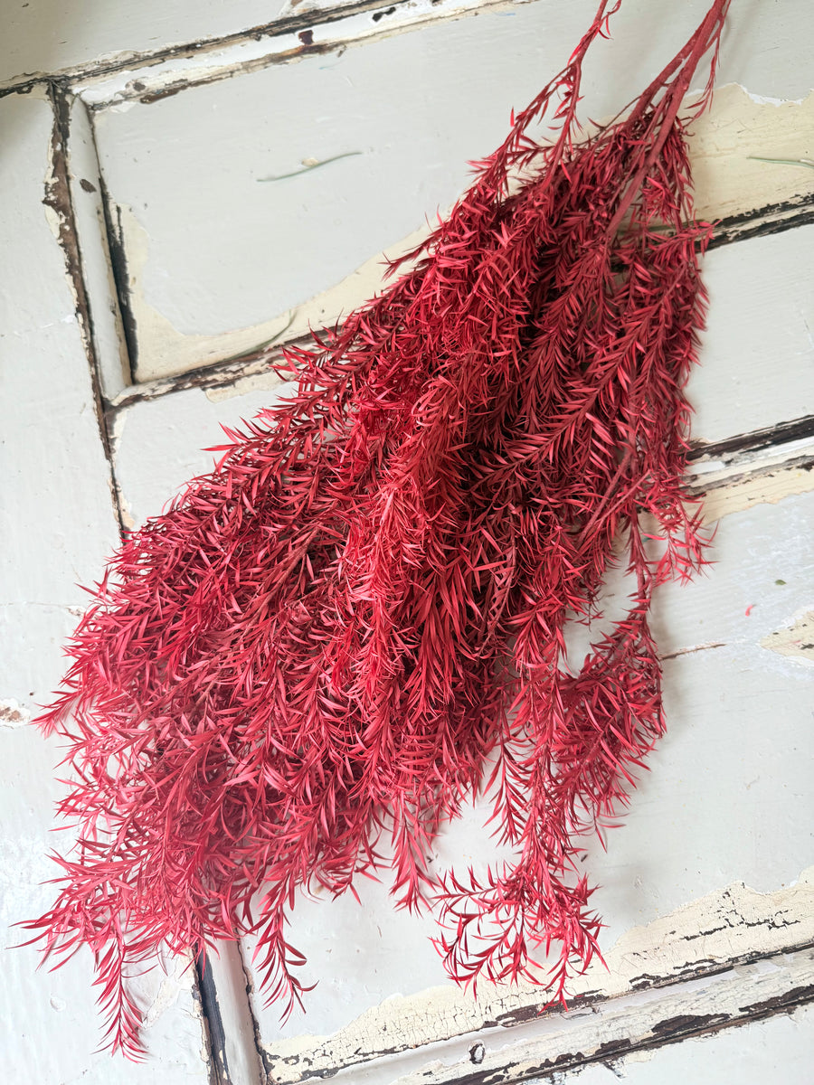 直销店 & 样品 [花茎 / 绿叶]