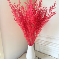 Soft / Vivid Hue Preserved Limonium | Misty | Sea Lavender