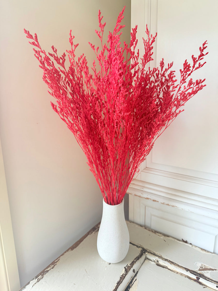 Soft / Vivid Hue Preserved Limonium | Misty | Sea Lavender