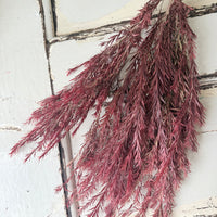 直销店 &amp; 样品 [花茎 / 绿叶]