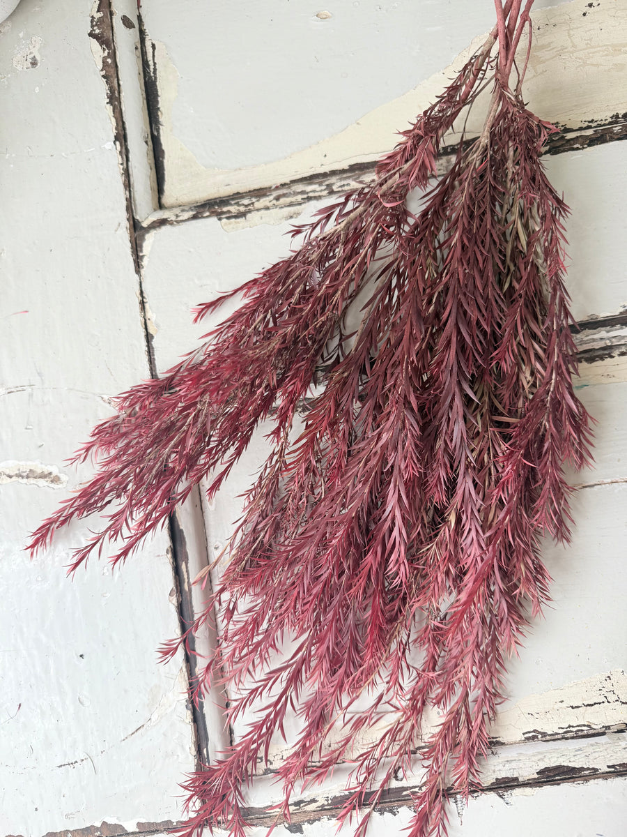 直销店 & 样品 [花茎 / 绿叶]