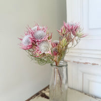 Naturally Dried Blushing Bride - natural pink