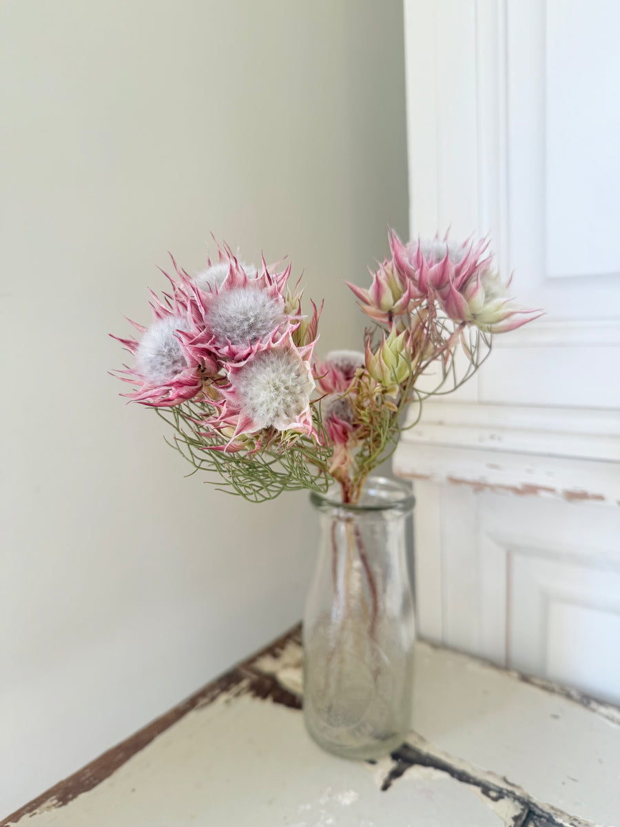 Naturally Dried Blushing Bride - natural pink