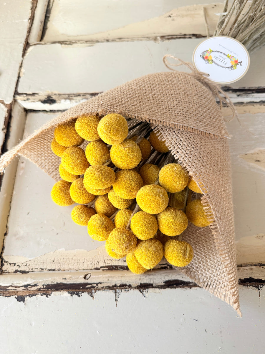 Everlasting Naturally Dried Billy Button Bouquet