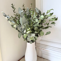 Dried Gum / Eucalyptus - natural green