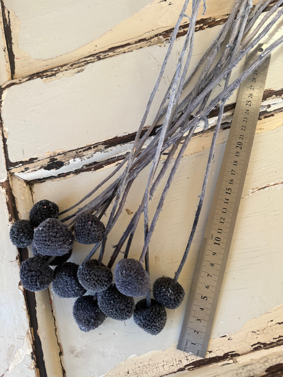 Outlet & Sample [flower stems / greenery]