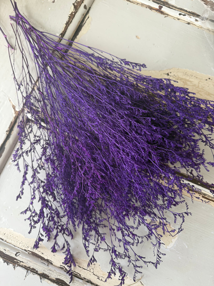 Soft / Vivid Hue Preserved Limonium | Misty | Sea Lavender