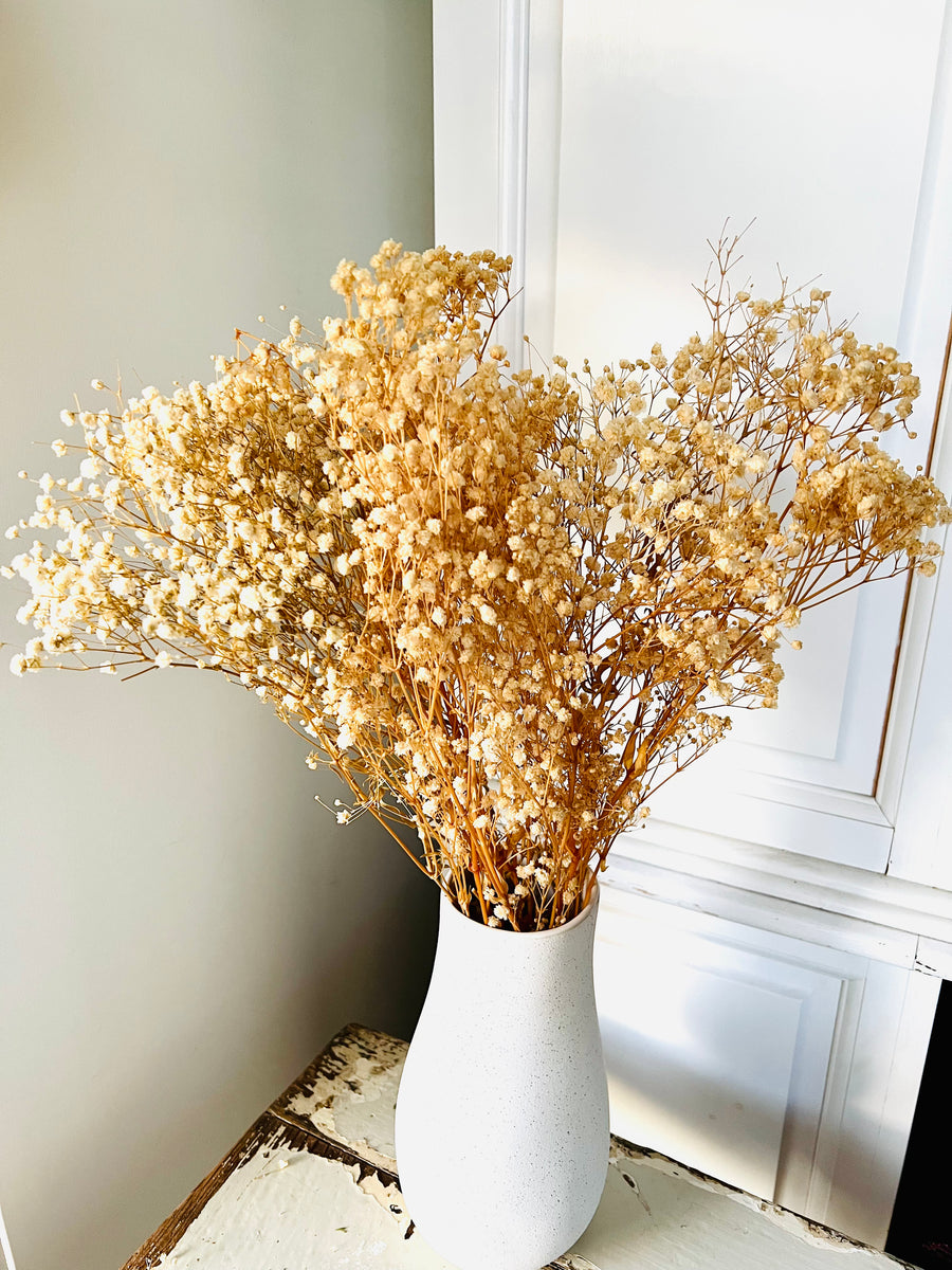 Preserved Baby's Breath bunch / Single variety bouquet