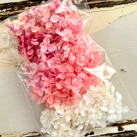 A Bag of Preserved Hydrangea Confetti / Loose Leaf / Petals
