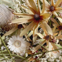 [VIC - Pickup / Local Delivery Only / 3 weekdays] Flutter Veil in Essien Bowl Arrangement [L]