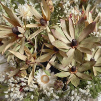 [VIC - Pickup / Local Delivery Only / 3 weekdays] Flutter Veil in Essien Bowl Arrangement [L]