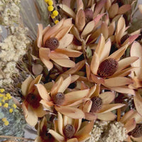 Bright Bushland Bouquet (M) Australian Native - Yellow