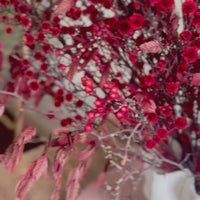 [VIC - Pickup / Local Delivery Only / 2 weekdays] Scarlet Blessing in Alisa Vase Arrangement [ML]