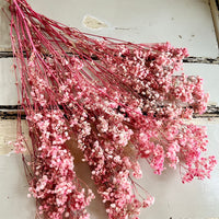 Preserved Baby's Breath bunch of
