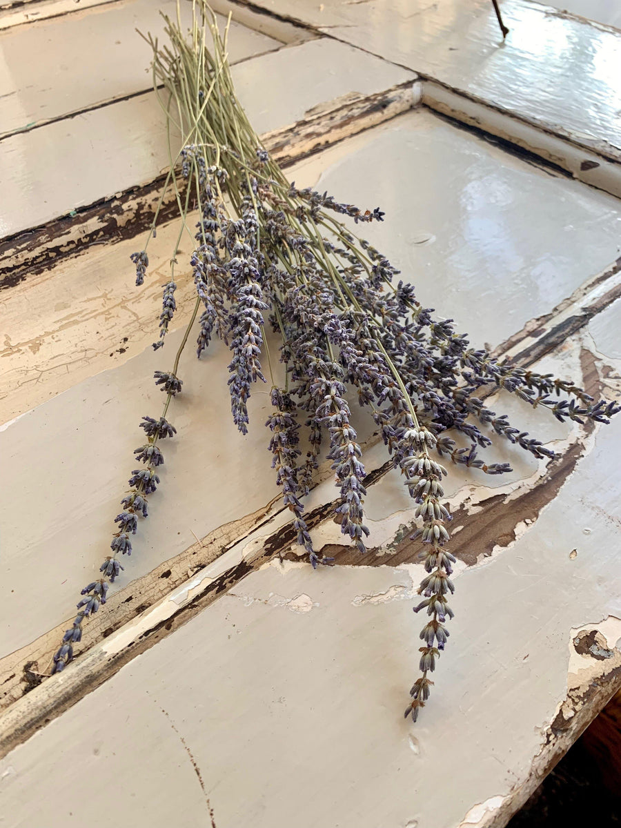 Dried Lavender bunch | dried flowers - FLEURI flowers