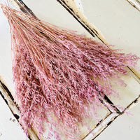 Light coloured Preserved Limonium | Misty | Sea Lavender