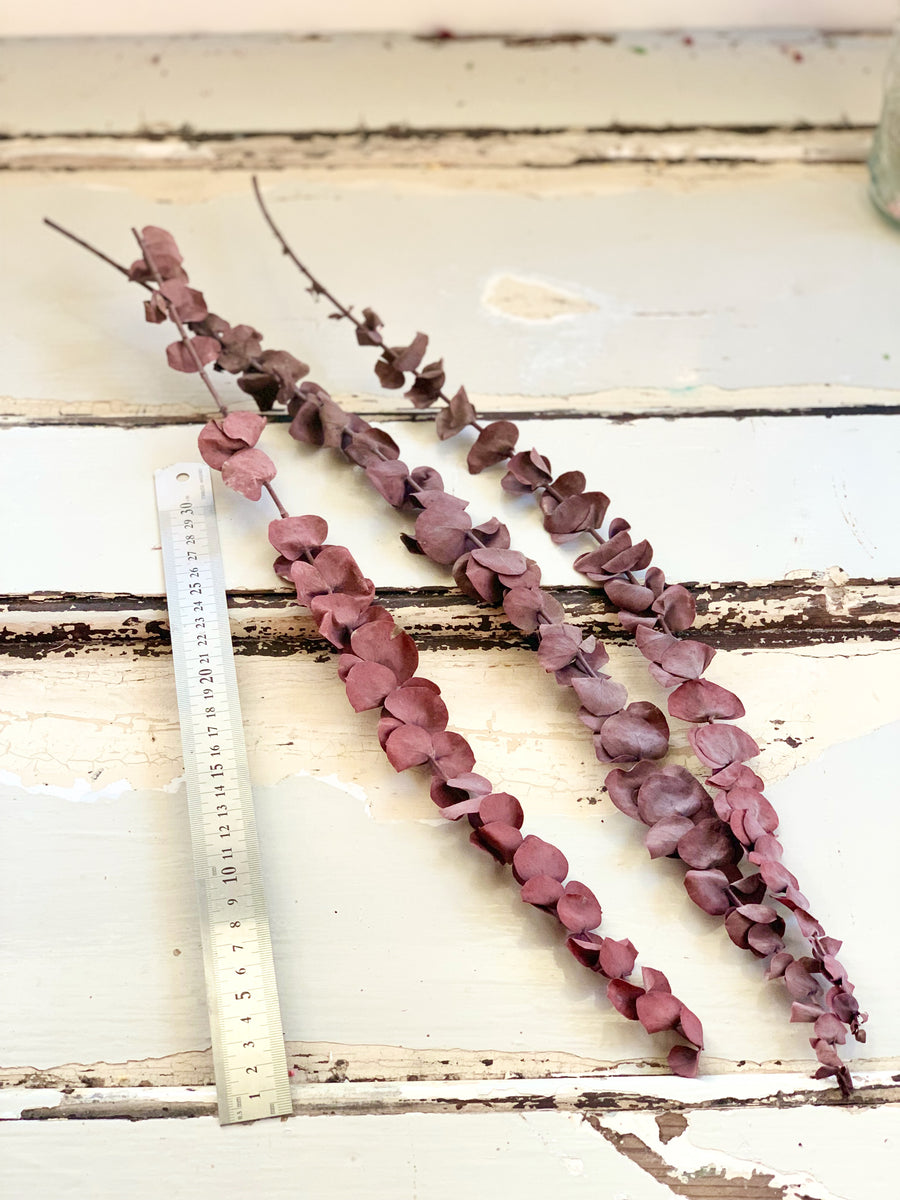 Preserved Eucalyptus Slim | preserved flowers