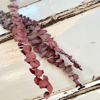 Preserved Eucalyptus Slim | preserved flowers