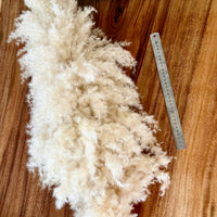 Pickup only | 177-220cm tall Dried Fluffy Cloud Pampas Grass [XXX Large] Very Rare | Wedding, Event and Home decor