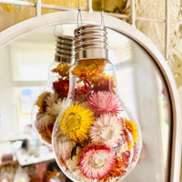 Fun of Daisies in a bulb | preserved dried flowers arrangement