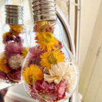 Fun of Daisies in a bulb | preserved dried flowers arrangement