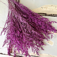 Deep coloured Preserved Limonium | Misty | Sea Lavender