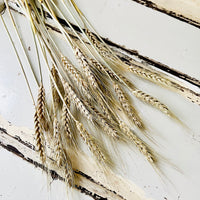 Naturally Dried Wheat