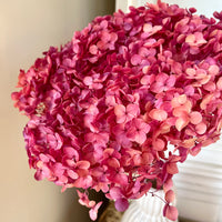 Preserved Hydrangea Stem / Single Variety Bouquet
