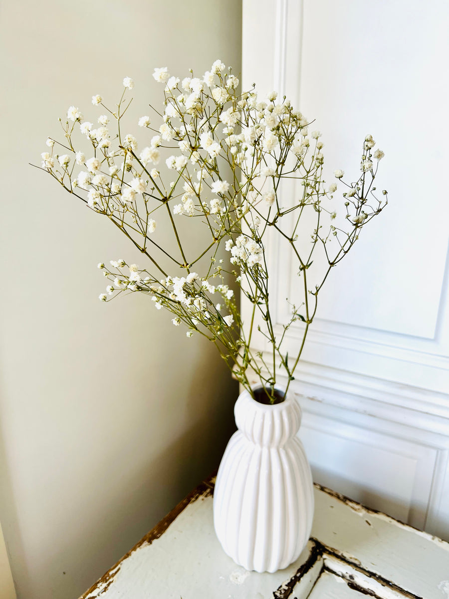 Preserved Baby's Breath bunch / Single variety bouquet