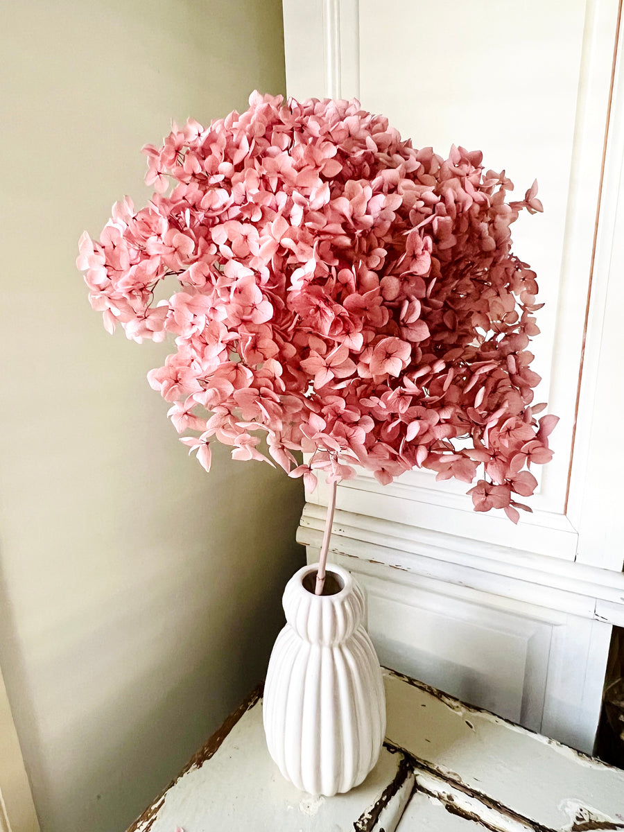 Preserved Hydrangea Stem / Single Variety Bouquet