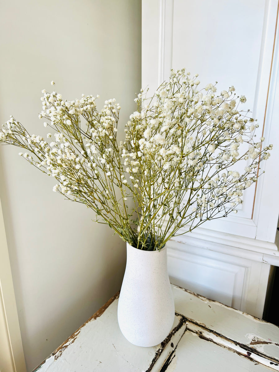 Preserved Baby's Breath bunch of