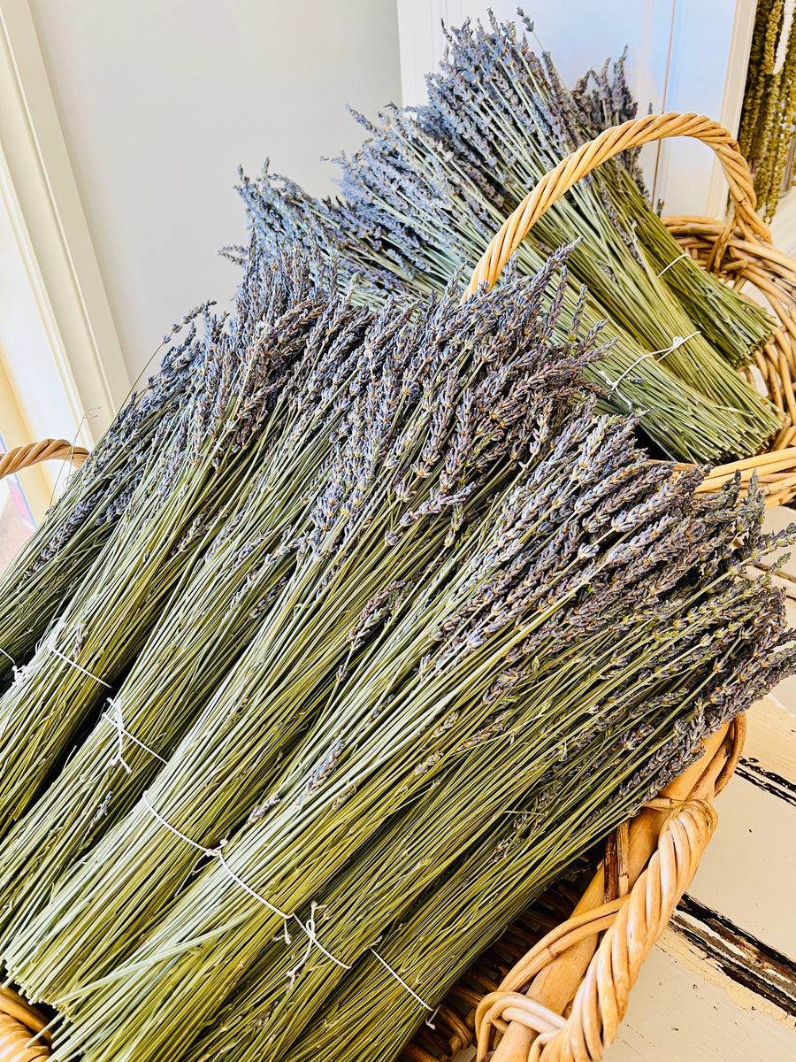 Naturally Dried Lavender bunch